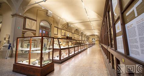 Museum of the History of Bologna .